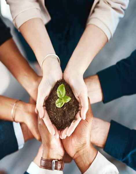 Family Office Set-Up